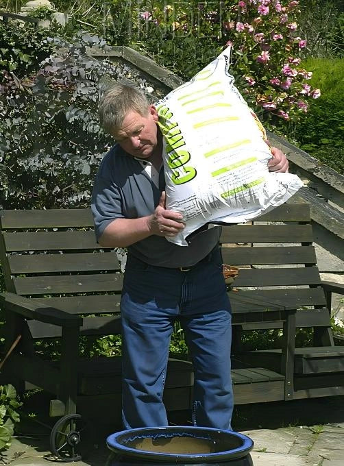 🏡Weekend Yard Work and Home Projects: Are Your Ankles Doing More Than You Think?